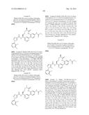 NOVEL MACROCYCLES AS FACTOR XIA INHIBITORS diagram and image