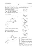 NOVEL MACROCYCLES AS FACTOR XIA INHIBITORS diagram and image