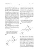 NOVEL MACROCYCLES AS FACTOR XIA INHIBITORS diagram and image