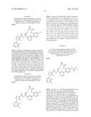 NOVEL MACROCYCLES AS FACTOR XIA INHIBITORS diagram and image