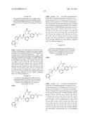 NOVEL MACROCYCLES AS FACTOR XIA INHIBITORS diagram and image