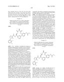 NOVEL MACROCYCLES AS FACTOR XIA INHIBITORS diagram and image