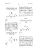 NOVEL MACROCYCLES AS FACTOR XIA INHIBITORS diagram and image