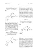 NOVEL MACROCYCLES AS FACTOR XIA INHIBITORS diagram and image