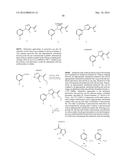 NOVEL MACROCYCLES AS FACTOR XIA INHIBITORS diagram and image