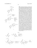 NOVEL MACROCYCLES AS FACTOR XIA INHIBITORS diagram and image