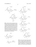 NOVEL MACROCYCLES AS FACTOR XIA INHIBITORS diagram and image