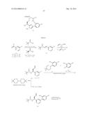 NOVEL MACROCYCLES AS FACTOR XIA INHIBITORS diagram and image