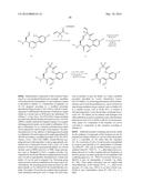 NOVEL MACROCYCLES AS FACTOR XIA INHIBITORS diagram and image