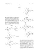 NOVEL MACROCYCLES AS FACTOR XIA INHIBITORS diagram and image