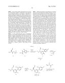 NOVEL MACROCYCLES AS FACTOR XIA INHIBITORS diagram and image