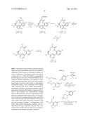 NOVEL MACROCYCLES AS FACTOR XIA INHIBITORS diagram and image