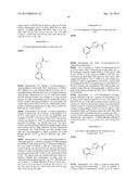 NOVEL MACROCYCLES AS FACTOR XIA INHIBITORS diagram and image