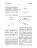 NOVEL MACROCYCLES AS FACTOR XIA INHIBITORS diagram and image