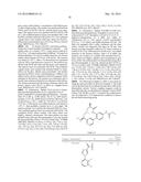 NOVEL MACROCYCLES AS FACTOR XIA INHIBITORS diagram and image