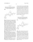 NOVEL MACROCYCLES AS FACTOR XIA INHIBITORS diagram and image