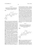 NOVEL MACROCYCLES AS FACTOR XIA INHIBITORS diagram and image