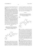 NOVEL MACROCYCLES AS FACTOR XIA INHIBITORS diagram and image