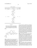 NOVEL MACROCYCLES AS FACTOR XIA INHIBITORS diagram and image