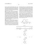 NOVEL MACROCYCLES AS FACTOR XIA INHIBITORS diagram and image