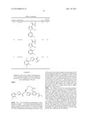 NOVEL MACROCYCLES AS FACTOR XIA INHIBITORS diagram and image