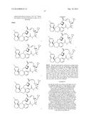 COMPOUNDS THAT INHIBIT MCL-1 PROTEIN diagram and image