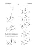 COMPOUNDS THAT INHIBIT MCL-1 PROTEIN diagram and image