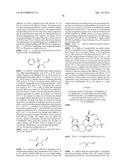 COMPOUNDS THAT INHIBIT MCL-1 PROTEIN diagram and image