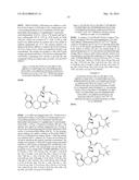 COMPOUNDS THAT INHIBIT MCL-1 PROTEIN diagram and image