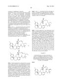 COMPOUNDS THAT INHIBIT MCL-1 PROTEIN diagram and image