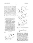 COMPOUNDS THAT INHIBIT MCL-1 PROTEIN diagram and image