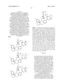 COMPOUNDS THAT INHIBIT MCL-1 PROTEIN diagram and image