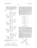 COMPOUNDS THAT INHIBIT MCL-1 PROTEIN diagram and image