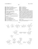 3-(3H-IMIDAZO[4,5-C]PYRIDIN-2-YL)-1H-PYRAZOLO[3,4-C]PYRIDINE AND     THERAPEUTIC USES THEREOF diagram and image