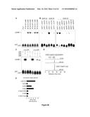 COMPOSITIONS AND METHODS FOR ALTERING SECOND MESSENGER SIGNALING diagram and image