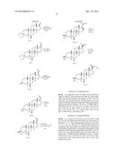 19-NOR NEUROACTIVE STEROIDS AND METHODS OF USE THEREOF diagram and image