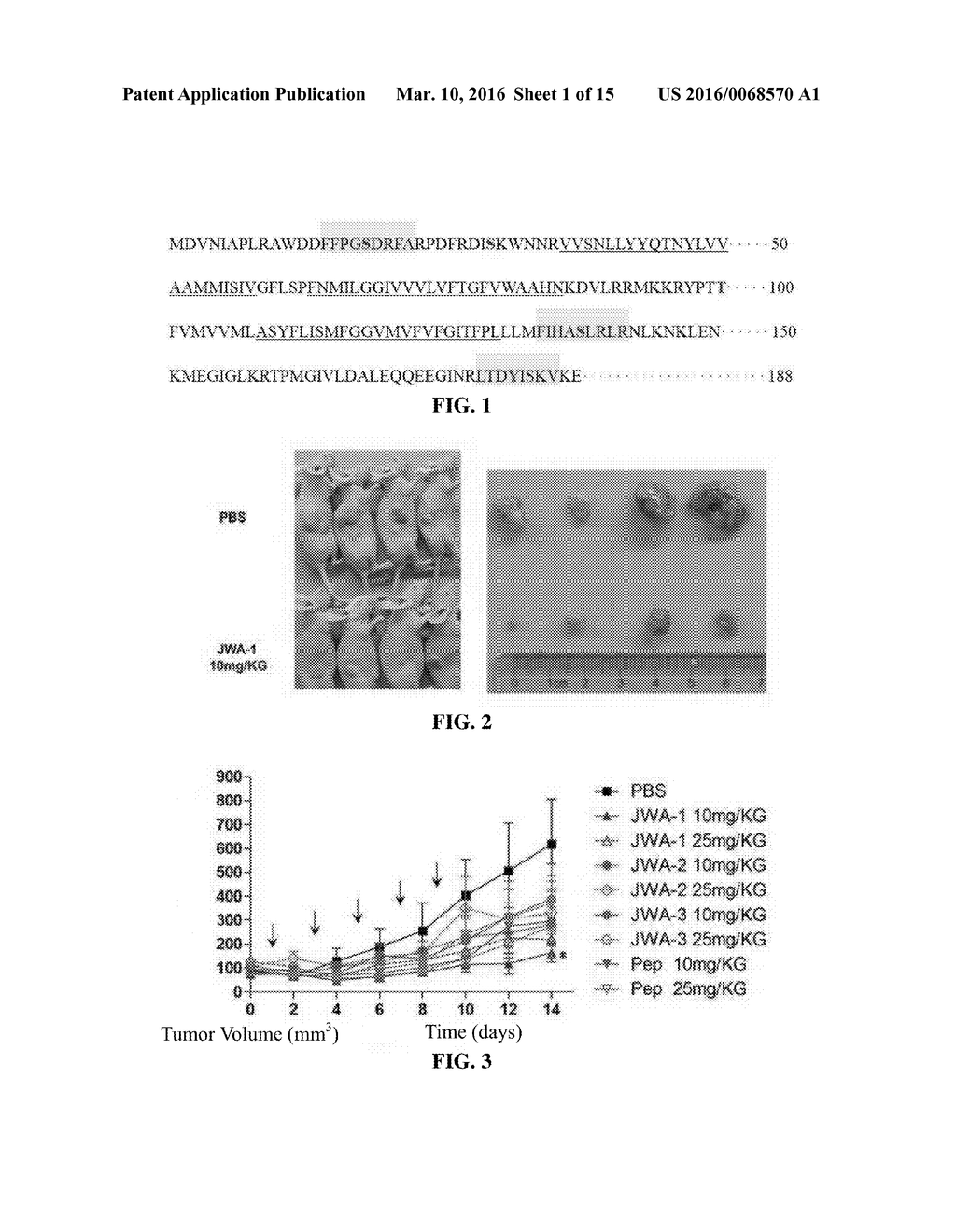 ANTI-TUMOR POLYPEPTIDES AND METHOD FOR PREPARING ANTI-TUMOR DRUGS     COMPRISNG THE SAME - diagram, schematic, and image 02