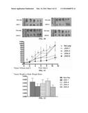 ANTI-TUMOR POLYPEPTIDES AND METHOD FOR PREPARING ANTI-TUMOR DRUGS     COMPRISNG THE SAME diagram and image