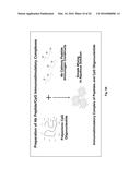 PEPTIDE VACCINE FOR PREVENTION AND IMMUNOTHERAPY OF DEMENTIA OF THE     ALZHEIMER S TYPE diagram and image