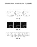 ANTI-CD19 COMPOSITIONS AND METHODS FOR TREATING CANCER diagram and image