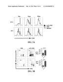 ANTI-CD19 COMPOSITIONS AND METHODS FOR TREATING CANCER diagram and image