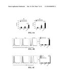 ANTI-CD19 COMPOSITIONS AND METHODS FOR TREATING CANCER diagram and image