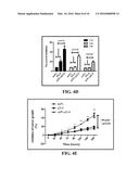 ANTI-CD19 COMPOSITIONS AND METHODS FOR TREATING CANCER diagram and image