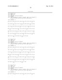 ISOLATION OF THERAPEUTIC TARGET SPECIFIC VNAR DOMAINS TO ICOSL diagram and image