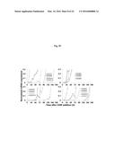 COMPOSITIONS AND METHODS FOR PRECISE PATTERNING OF POSTERIOR NEUROECTODERM     FROM HUMAN PLURIPOTENT STEM CELLS diagram and image