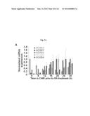 COMPOSITIONS AND METHODS FOR PRECISE PATTERNING OF POSTERIOR NEUROECTODERM     FROM HUMAN PLURIPOTENT STEM CELLS diagram and image