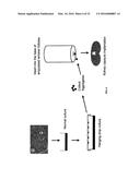 METHODS FOR COMPACT AGGREGATION OF DERMAL CELLS diagram and image