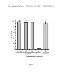 CHEMICALLY DEFINED ALBUMIN-FREE CONDITIONS FOR CARDIOMYOCYTE     DIFFERENTIATION OF HUMAN PLURIPOTENT STEM CELLS diagram and image