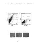 A METHOD FOR GENERATING INDUCED PLURIPOTENT STEM CELLS diagram and image