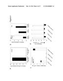 CHIMERIC ADENO-ASSOCIATED VIRUS/ BOCAVIRUS PARVOVIRUS VECTOR diagram and image